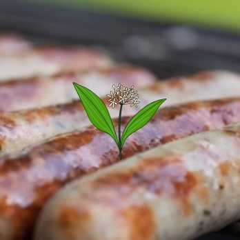 TK-Bratwürste 500g Bärlauch Landgut Schwein