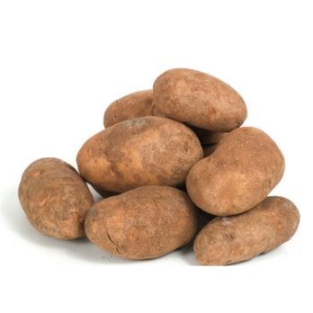 Kartoffeln vfk Otolia aus Hemhofen