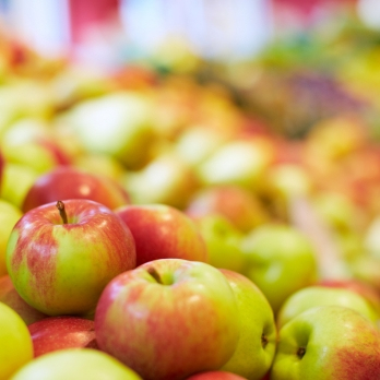 Äpfel Santana aus Franken