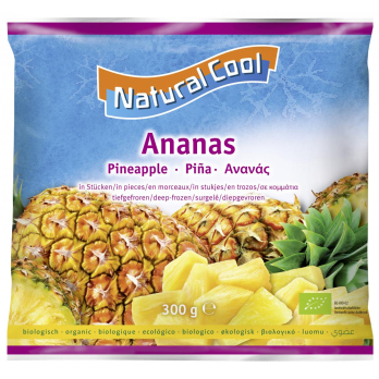 Ananasstücke TK