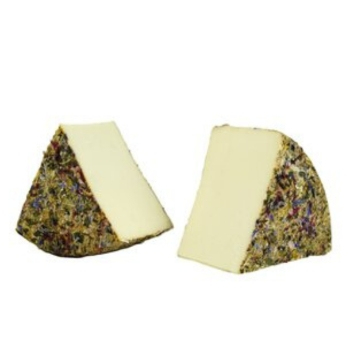 Tiroler Frühlingsblüte