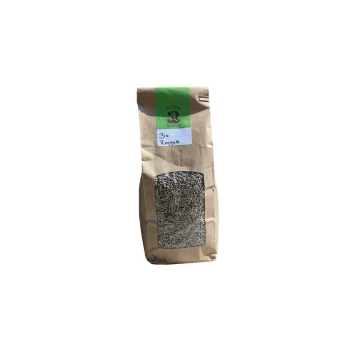 Roggen von Tristans Biohof